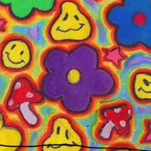 Meet your Posher, Sydnee